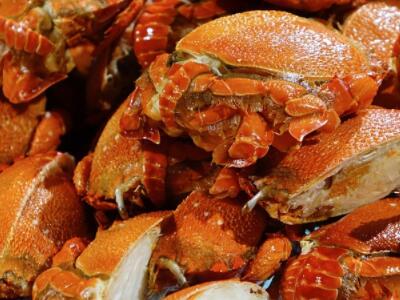 大闸蟹是发物吗?多少钱一斤?有哪些产地? - 土