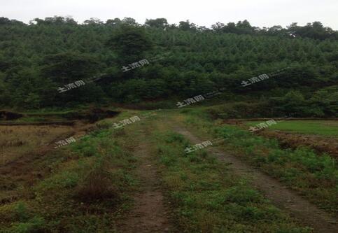 土地确权后能再次更改土地归属权吗?怎么变更