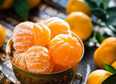 专业:中国柑橘产业发展前景分析 - 土流网