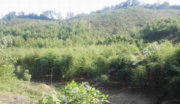 浙江土地面积有多大?为何有七山一水二分田