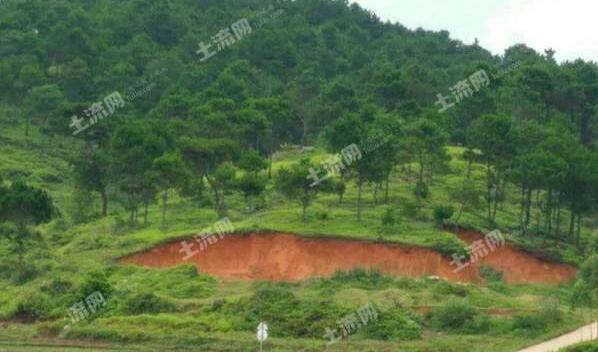 南宁市土地面积有多少?适合种植哪些经济作物