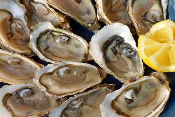 牡蛎多少钱一斤?怎么吃?有哪些功效与作用?