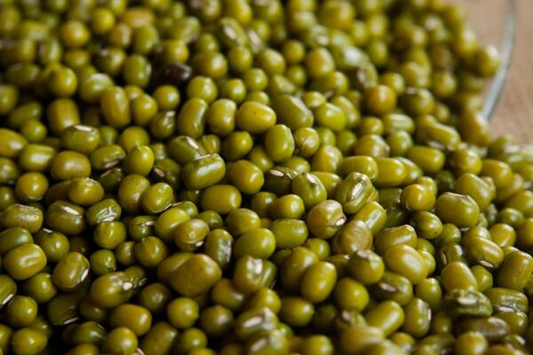 绿豆一般开花要多久?几月播种收获?种植方法