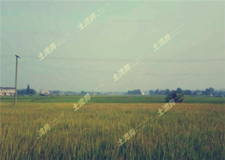 2017四川泸州市征地青苗和地上附着物补偿标