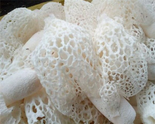 竹荪市场价格多少钱一斤?它有什么营养价值?