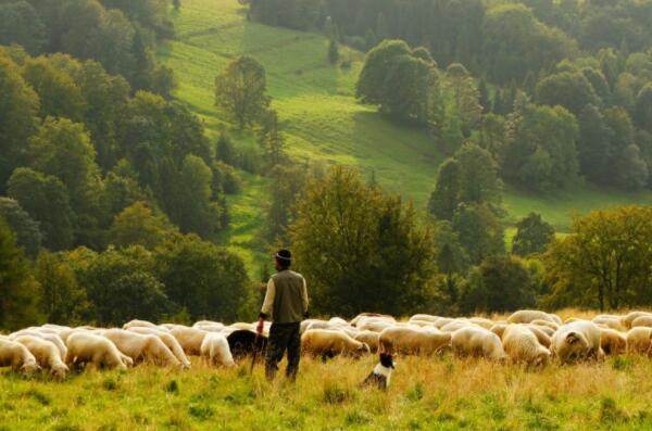 2018我国农业补贴将进行重大改革,这几种农民