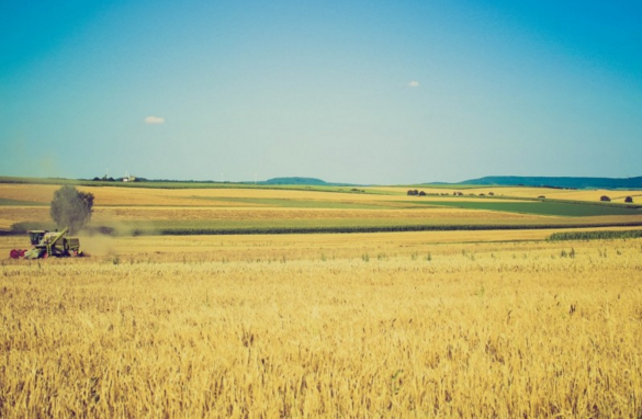 郁南县金融精准扶贫小额担保贷款管理办法(试