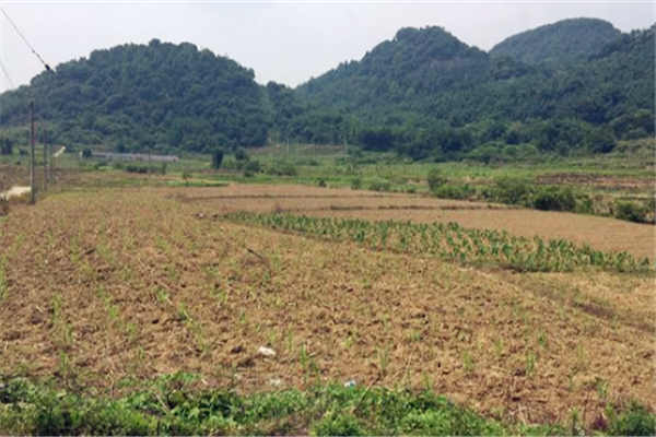 天津:脱贫攻坚用地指标、增减挂钩、土地整治