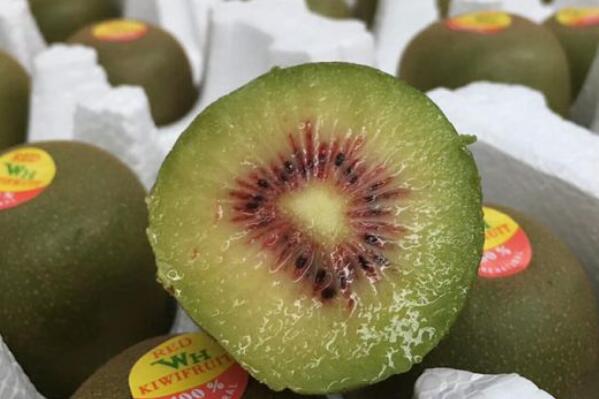 红心猕猴桃是转基因吗?孕妇能吃吗?怎么催熟