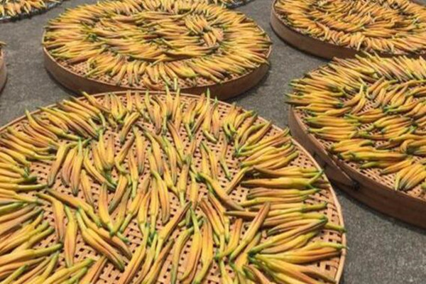 黄花菜一亩地产量多少?怎么种植?有哪些功效