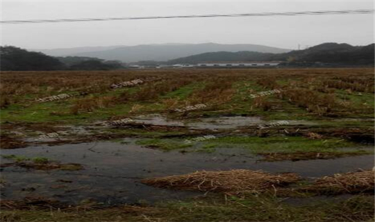 2018年农村土地确权新政策:宅基地如何确权?