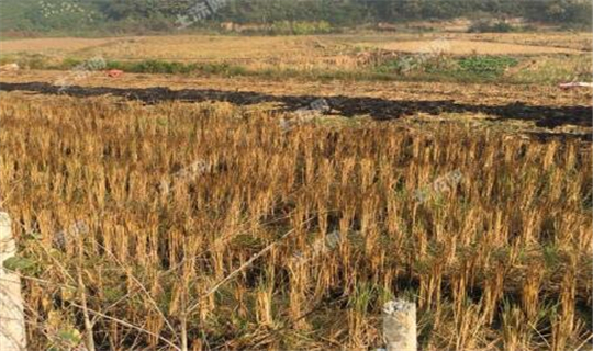 2018年农村土地确权新政策:宅基地如何确权?