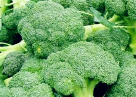 西兰花一年四季都有吗?西兰花怎么做好吃? - 土