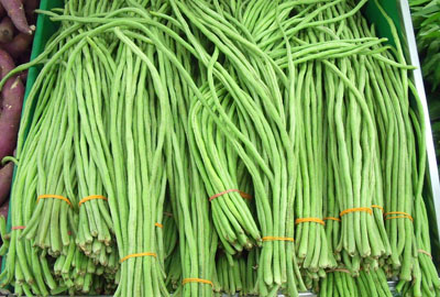 2018年种豆角赚钱吗?市场前景如何?种一亩大