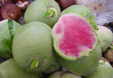 红心萝卜有什么营养?价格多少钱一斤?亩产值