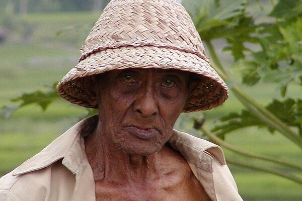 2018年福建农村低保标准:每月领多少钱?