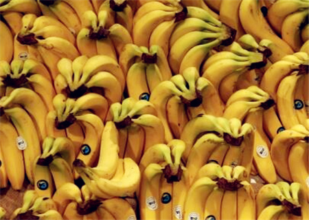 2018年香蕉价格最新行情走势预测:香蕉多少钱