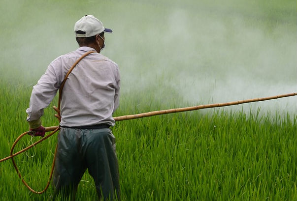 2018年草甘膦除草剂价格走势如何?市场行情会