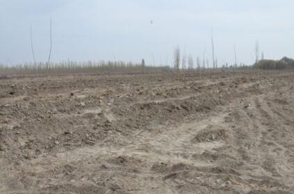 个人开垦荒山荒地国家有什么政策?2018年开垦