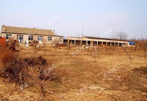 2018年开始,国家允许农村宅基地买卖,农民的好