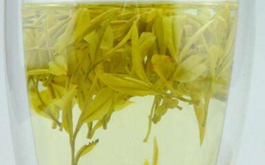 山茶科黄金芽茶叶价格多少钱一斤?属于什么茶