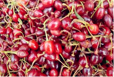 车厘子多少钱一斤?2018年车厘子价格预测(附