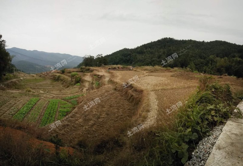 农村承包地发生纠纷怎么解决?2018年一号文件