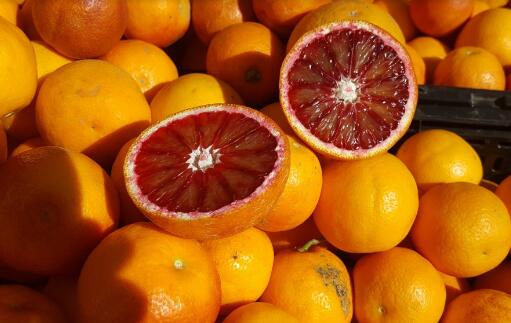 橙子中的贵族血橙一般多少钱一斤?和普通橙