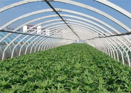 2018蔬大棚菜国家补贴标准是多少?4亩大棚一