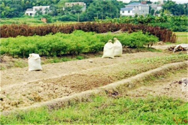 关于城乡建设用地增减挂钩节余指标跨省域调剂