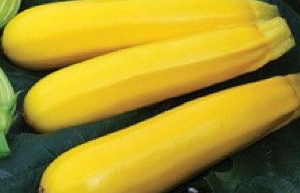 市面上香蕉西葫芦价格多少钱一斤?可以生吃吗
