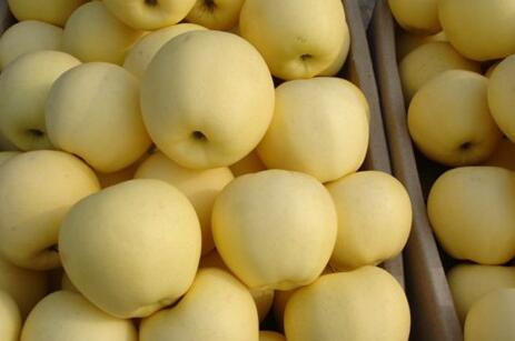 黄元帅苹果价格多少钱一斤?它产自哪儿?有什