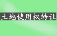 标签土地使用权转让公证流程_新闻资讯_土流