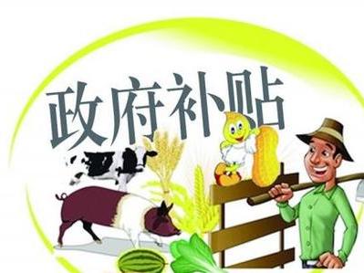 收入证明_农民 收入性补贴