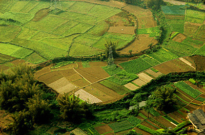 河南项城强征农民土地_农民土地收入