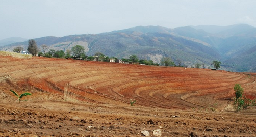 什么是基本农田什么是一般耕地 565d620712bb8.png