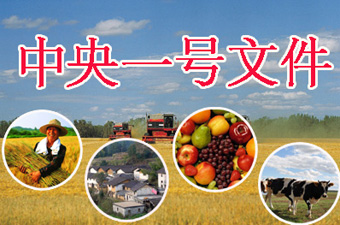 国人均收入水平_2020年小康水平人均