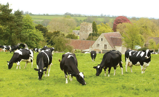 英国农场和英国农场主的日常生活是什么样的呢
