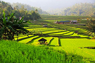 云南楚雄市农业产业发展总体规划(2014-2020