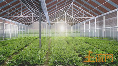 农业致富新项目:光伏+农业助农户挣大钱 - 太