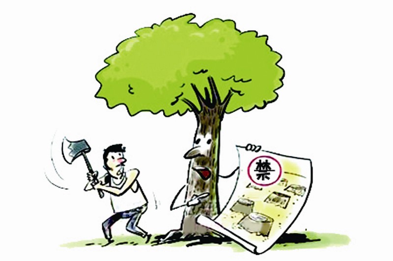 河北省发布停止天然林商业性采伐补助标准