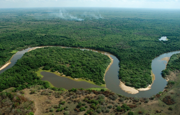 巴西重要农产品集中分布在什么和什么地区-巴