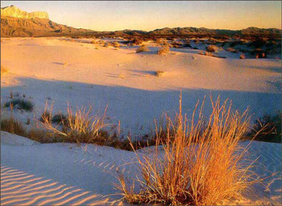 中国陆地土地面积_中国陆地人均面积(2)