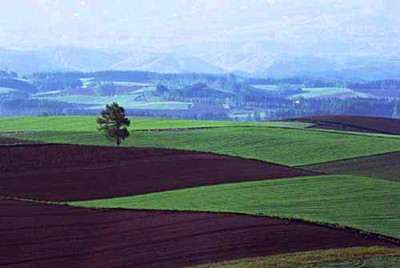 耕地机_人均耕地占世界