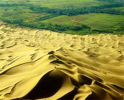 科尔沁沙地东南缘大青沟自然保护区土壤水分的时空分布特征