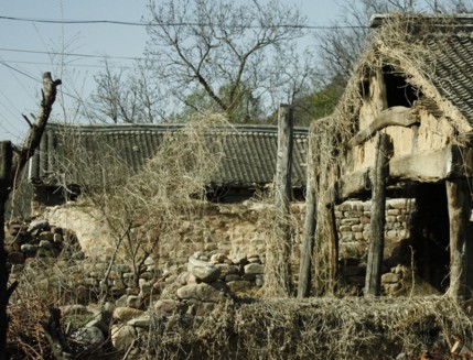 2016年山东省寿光市高考重点线理科是多少分