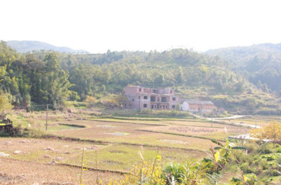 新增人口农村土地法_农村别墅(3)