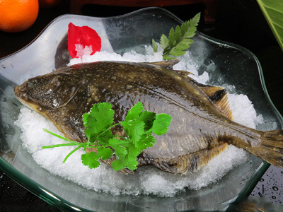 鸦片鱼原产地在大西洋北部黄渤海是中国鸦片鱼主产地