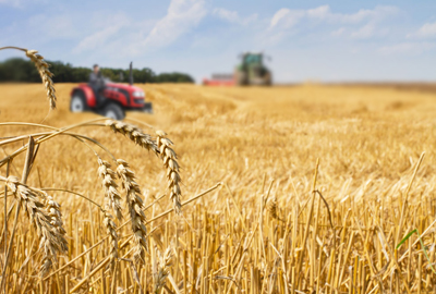 优质有机肥配方 5747e9cc8562f.jpg