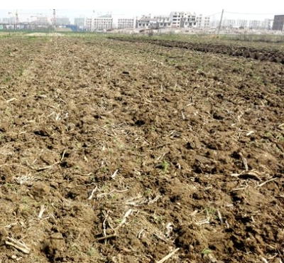 关于蒙城县农村土地承包经营权确权登记的有关问题解答